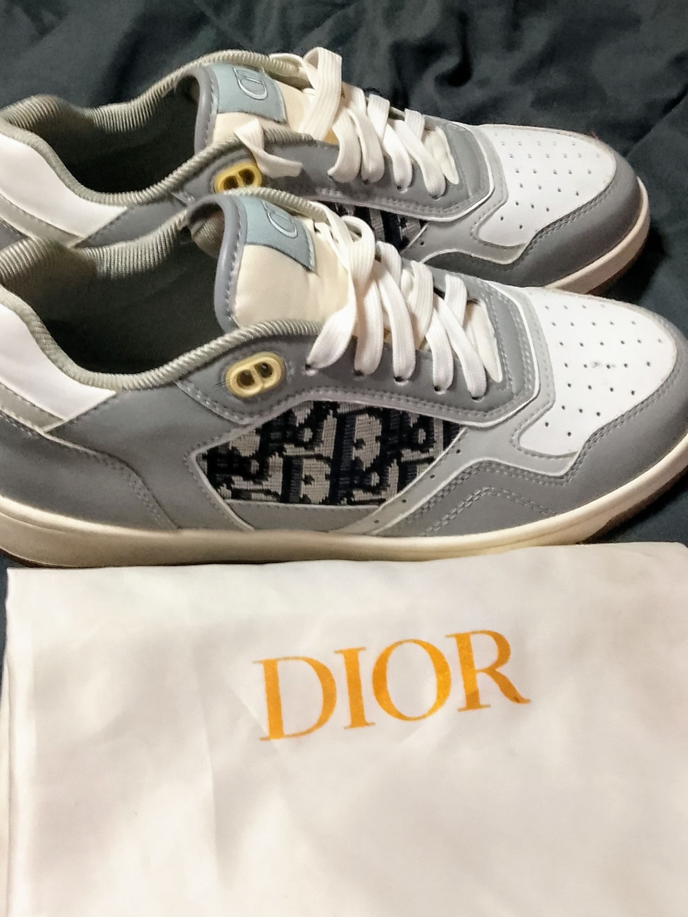 Dior Men’s Low-Top Sneakers in White and Gray